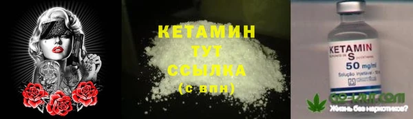 крисы Осинники