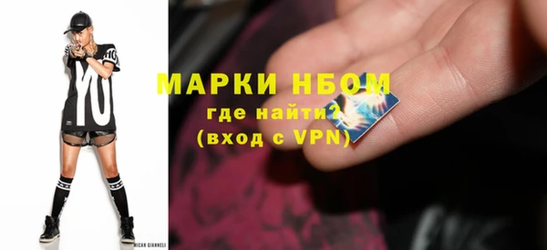 гидра Арсеньев