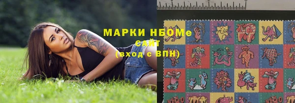 гидра Арсеньев